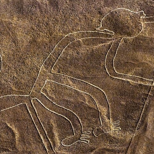 Figura del mono. Líneas de Nasca